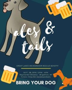 Great Lakes Weimaraner Rescue
