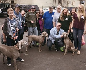 Great Lakes Weimaraner Rescue Volunteers