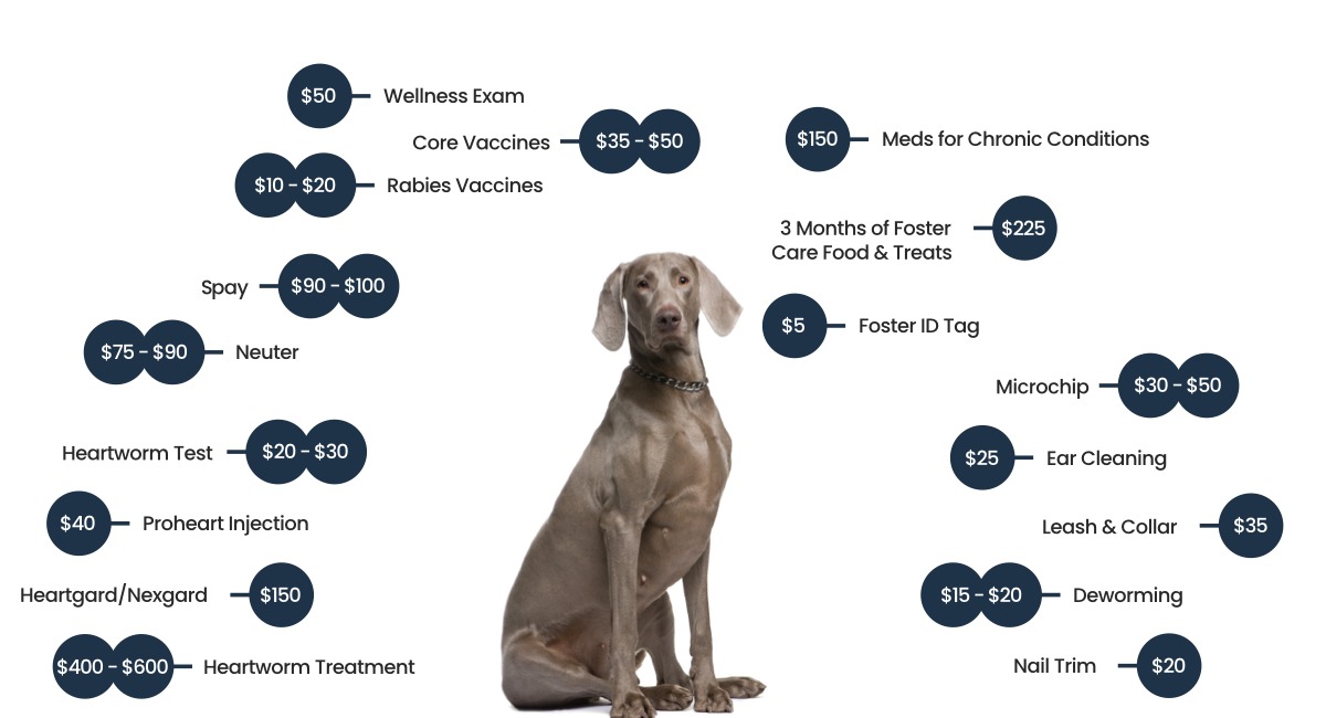Great Lakes Weimaraner Rescue Fee Graphic