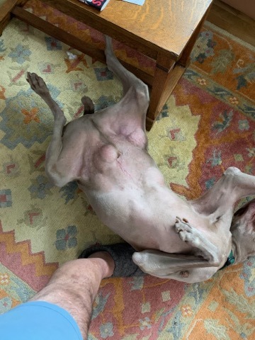 patrick lying on his back
