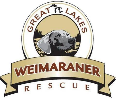 Great Lakes Weimaraner Rescue